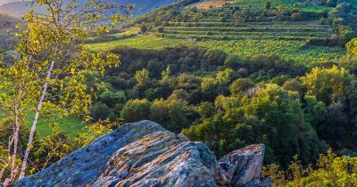 Podyjí National Park, South Moravia, Czechia